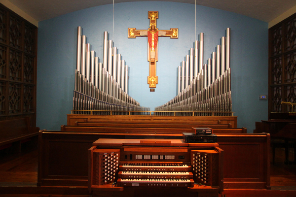 Sje -organ -resize